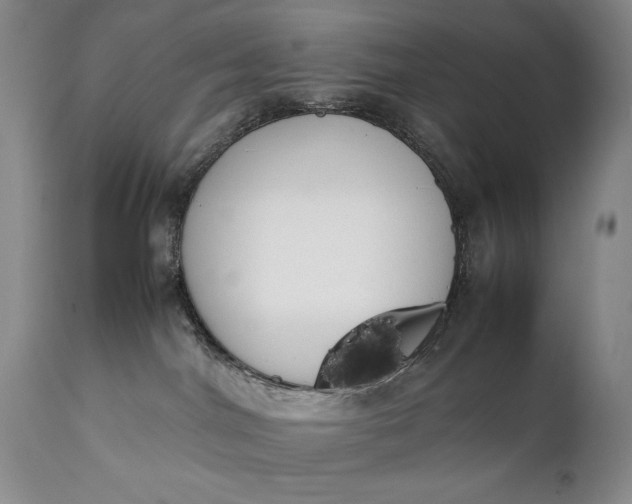 X0000111430044200907271116