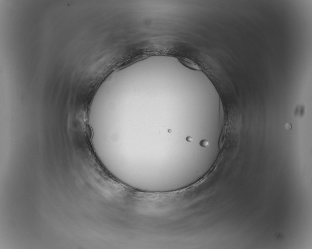 X0000111430045200907271116