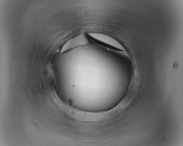 X0000111430048200907271116