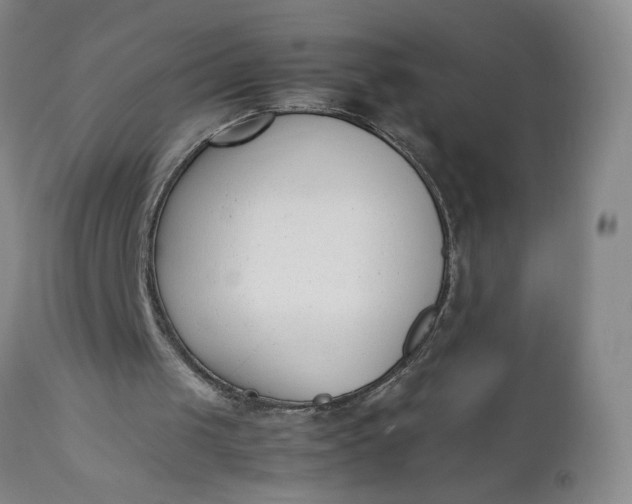 X0000111430049200907271115