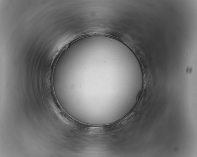 X0000111430050200907271115