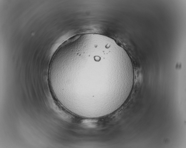 X0000111430051200907271115