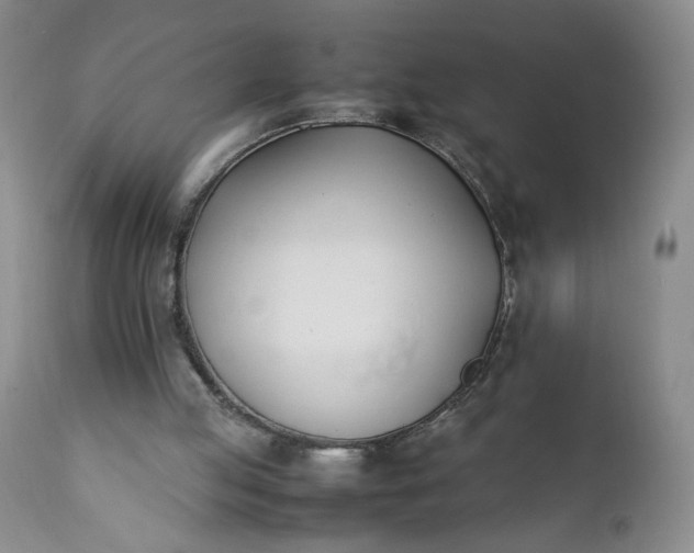 X0000111430053200907271115