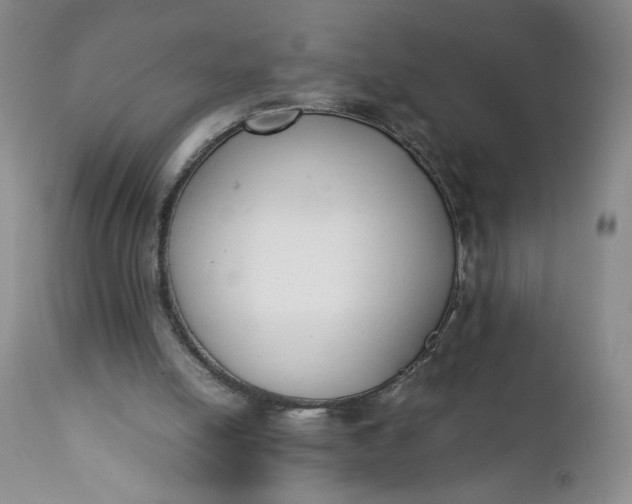 X0000111430054200907271115