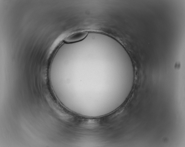 X0000111430056200907271115