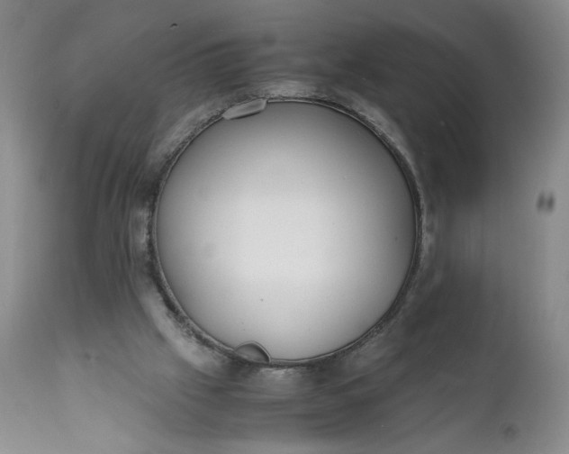 X0000111430057200907271115