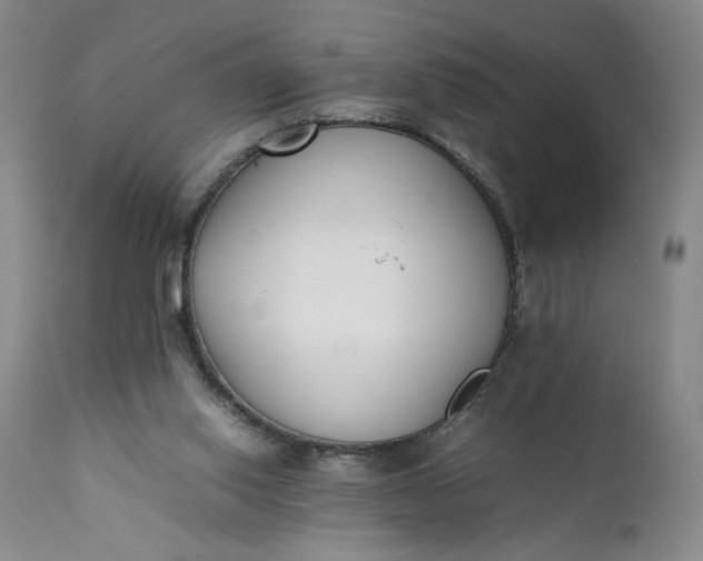 X0000111430062200907271115