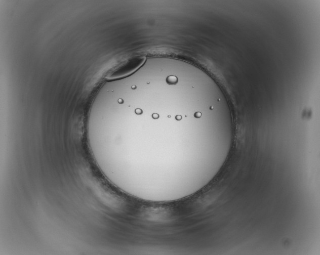 X0000111430063200907271115