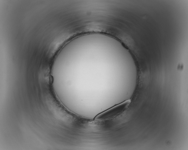 X0000111430064200907271115