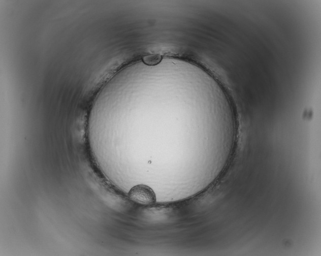 X0000111430065200907271115