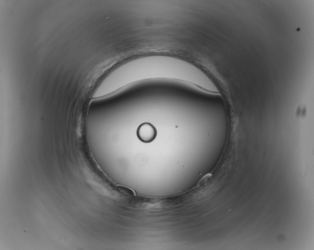 X0000111430068200907271115