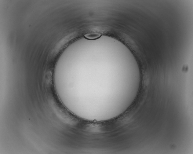 X0000111430071200907271115