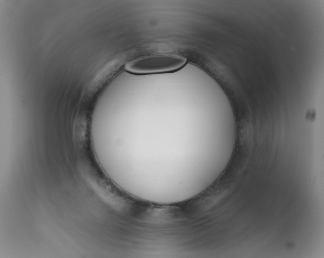 X0000111430072200907271115