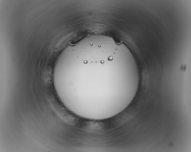 X0000111430073200907271115