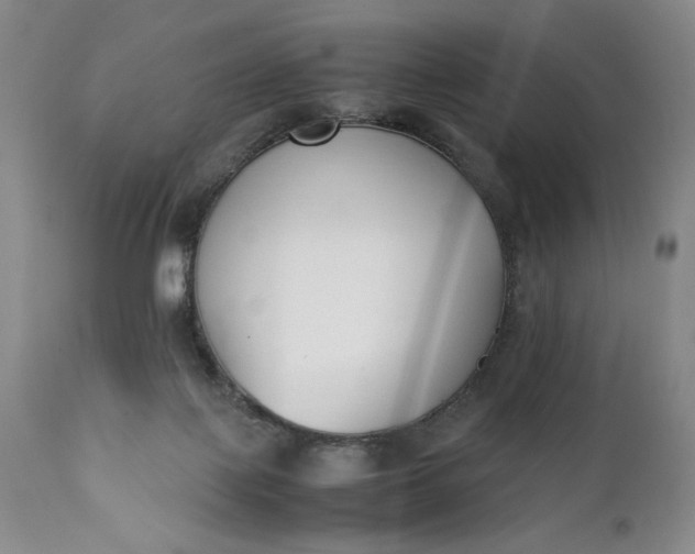 X0000111430075200907271115