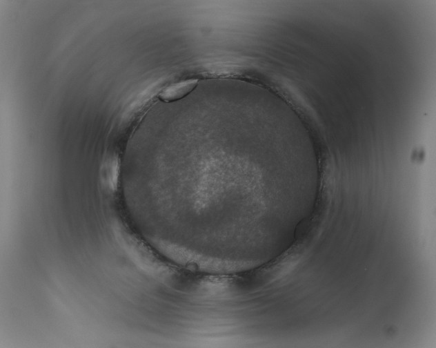 X0000111430076200907271115