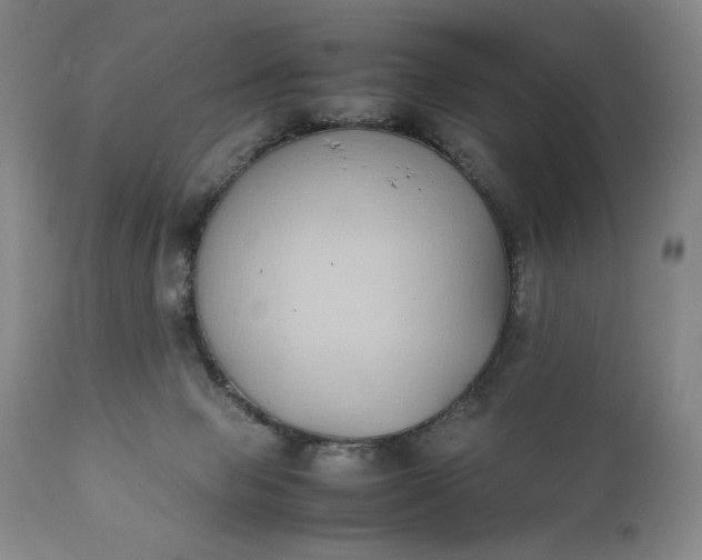 X0000111430077200907271115