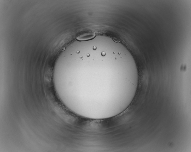 X0000111430078200907271115