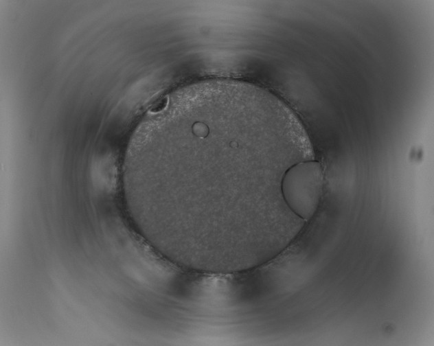 X0000111430080200907271115