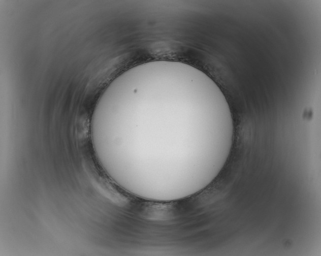 X0000111430081200907271115