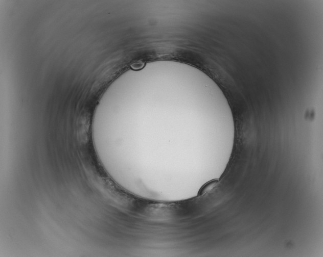 X0000111430082200907271115