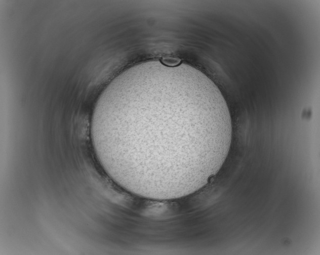 X0000111430083200907271115