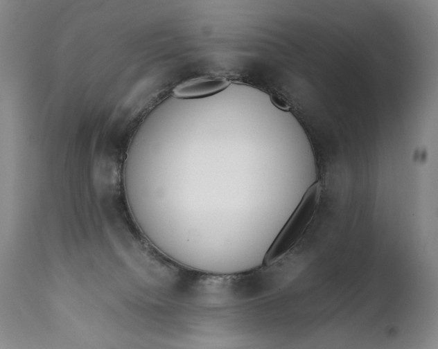 X0000111430084200907271115