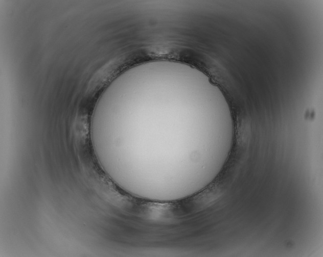 X0000111430085200907271115