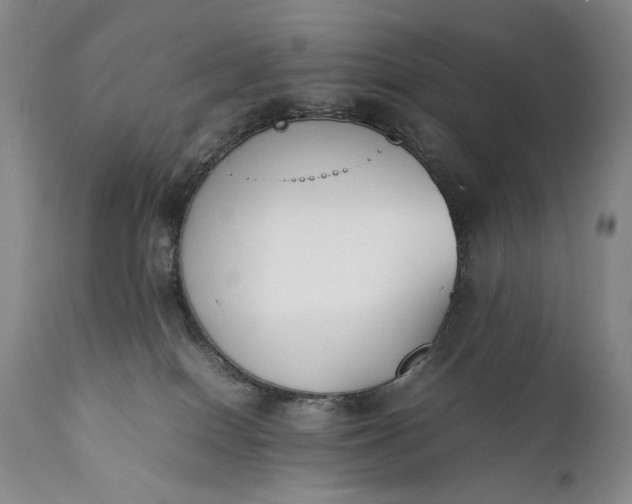 X0000111430086200907271115