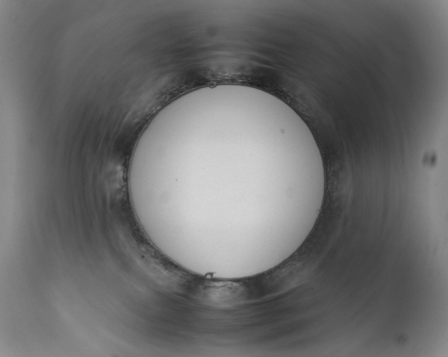 X0000111430087200907271115