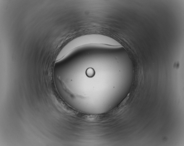 X0000111430088200907271115