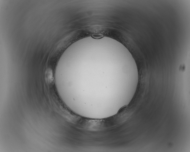 X0000111430089200907271116