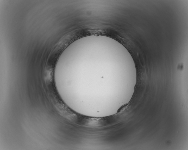 X0000111430090200907271116