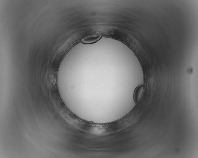 X0000111430091200907271116