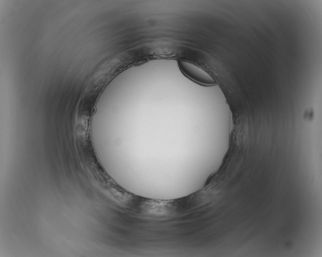 X0000111430093200907271116