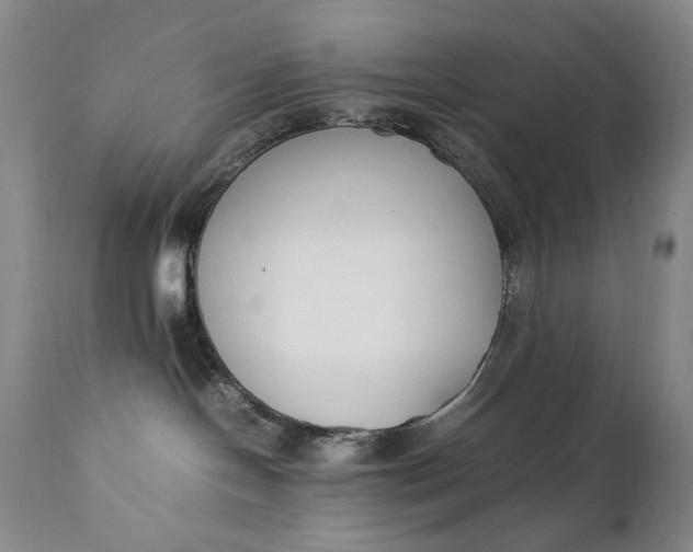 X0000111430094200907271116