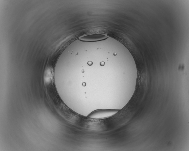 X0000111430095200907271116