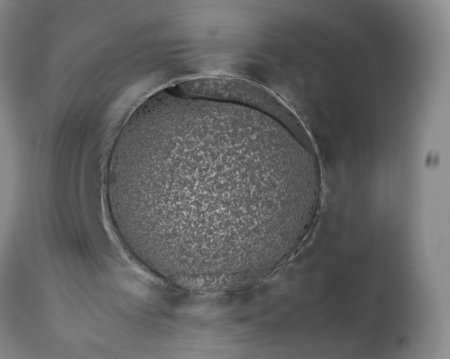 X0000111430097200907271115