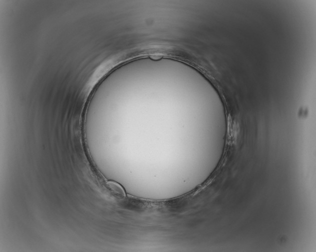 X0000111430099200907271115