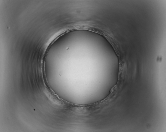 X0000111430100200907271115