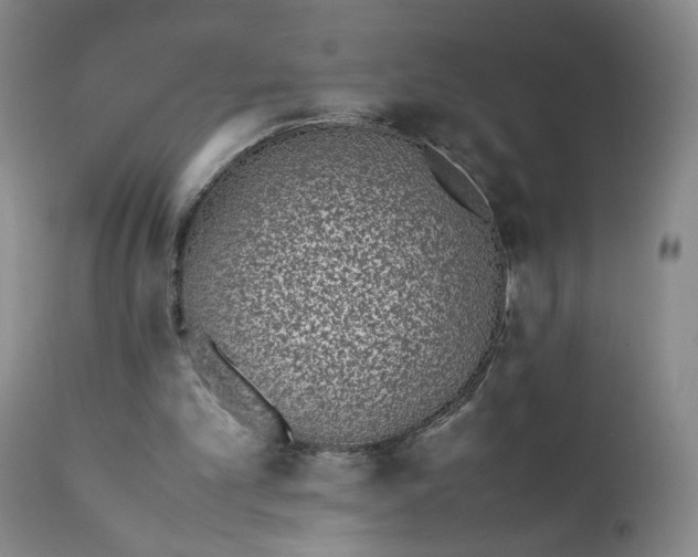 X0000111430101200907271115