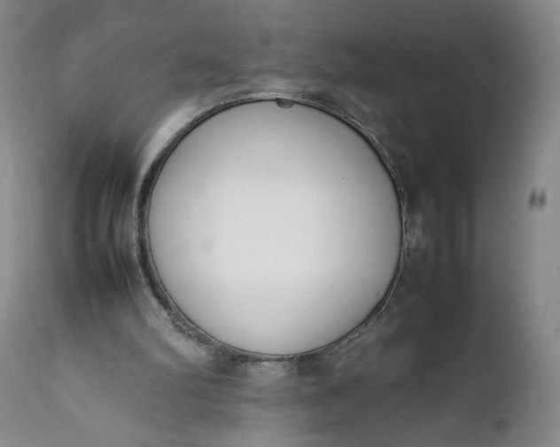 X0000111430102200907271115