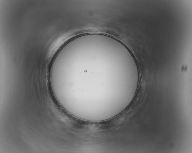 X0000111430103200907271115