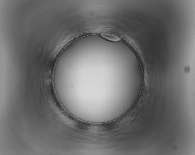 X0000111430105200907271115