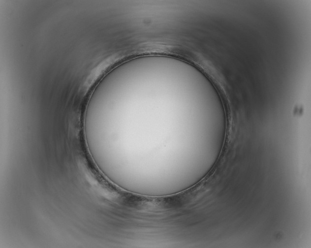 X0000111430107200907271115