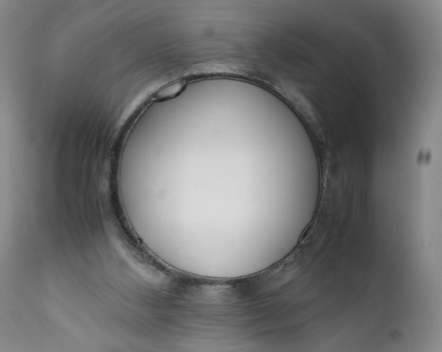 X0000111430108200907271115