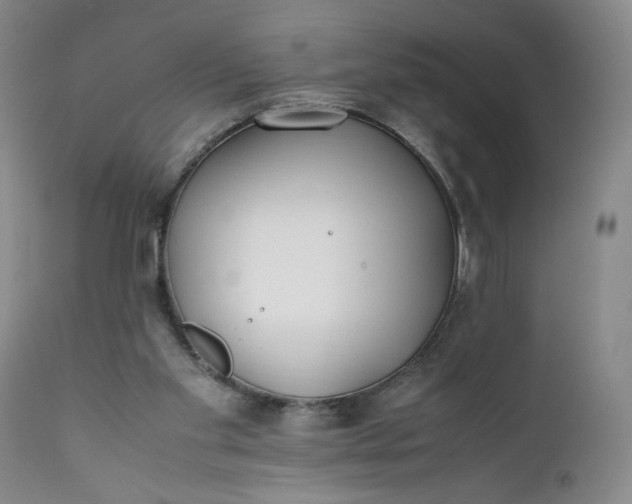 X0000111430109200907271115