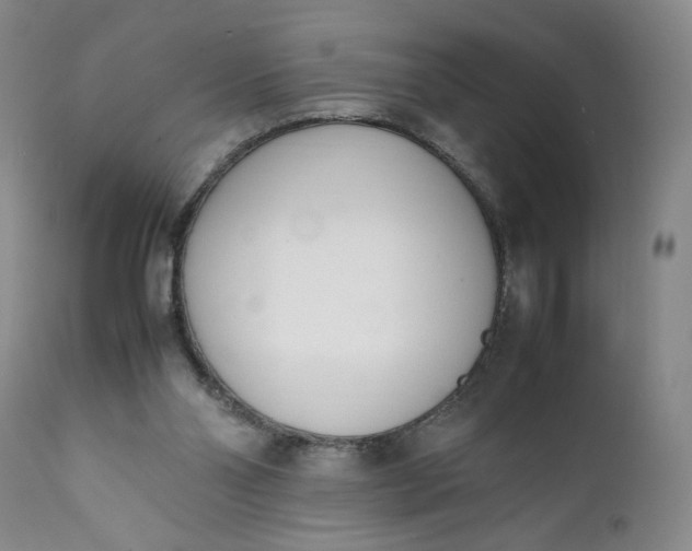 X0000111430110200907271115