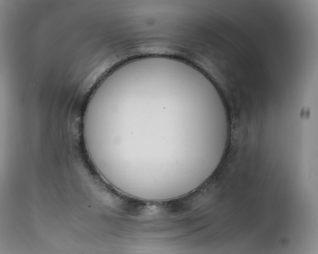 X0000111430111200907271115