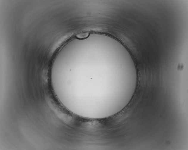 X0000111430112200907271115